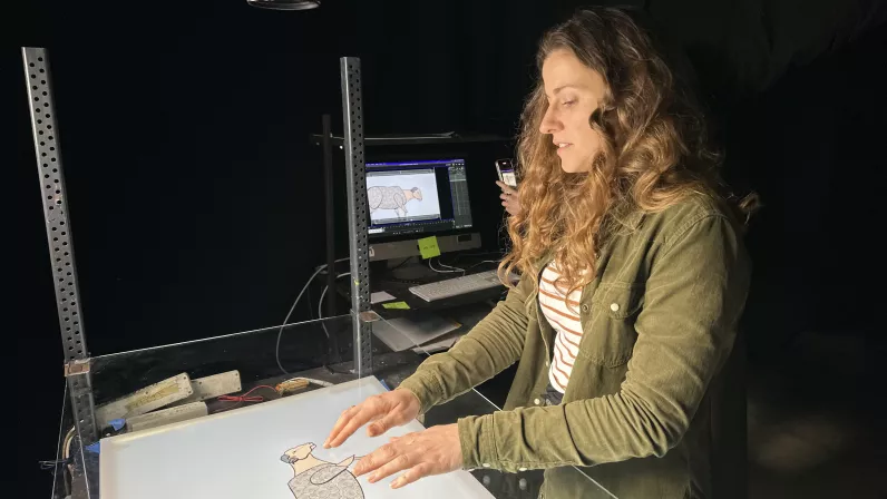 Nikita Fraysse au banc-titre