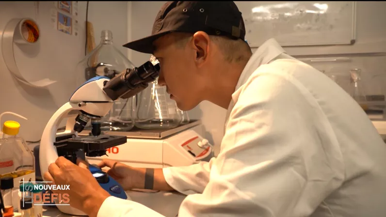 Les Nouveaux Défis, votre rendez-vous avec l’économie de l'île sur Réunion la 1ère : Best of 2025