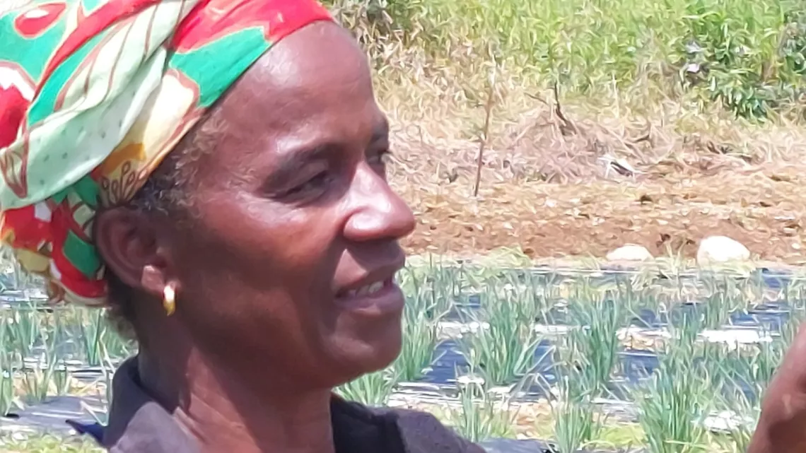 Documentaire : Sous la cendre, le feu