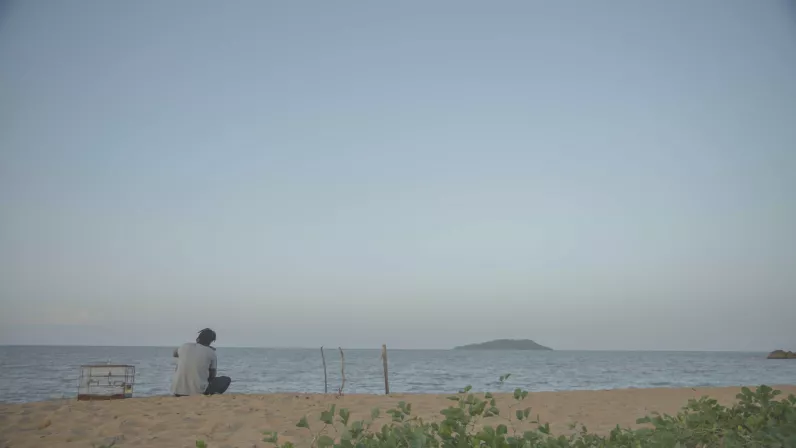 L’oiseau qui chante à l’oreille des hommes ©Paramonti Productions