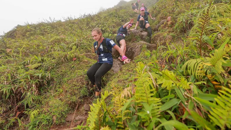 Documentaire : Les Alizés