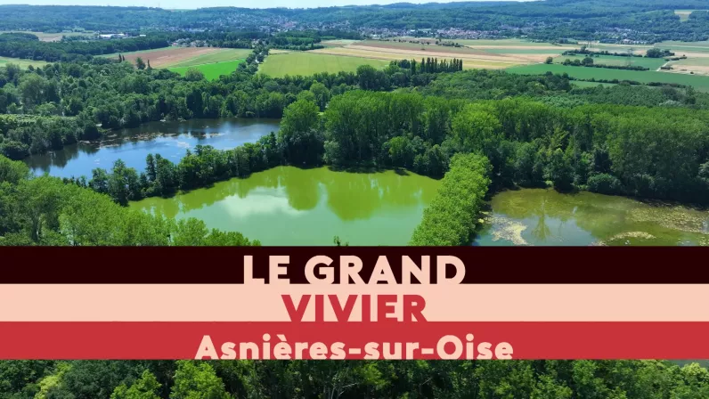 Vivier
