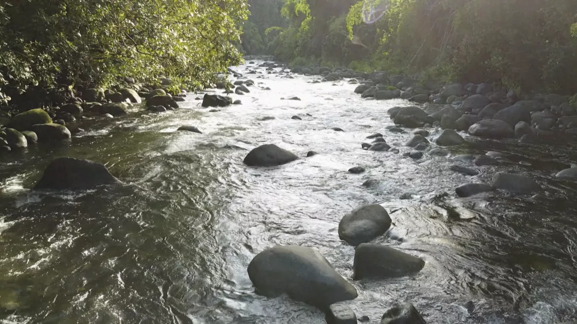 Ilet Coco, un endroit un peu hors du temps, avec ses habitants qui refusent d’évacuer leurs maisons quand la nature est menaçante.