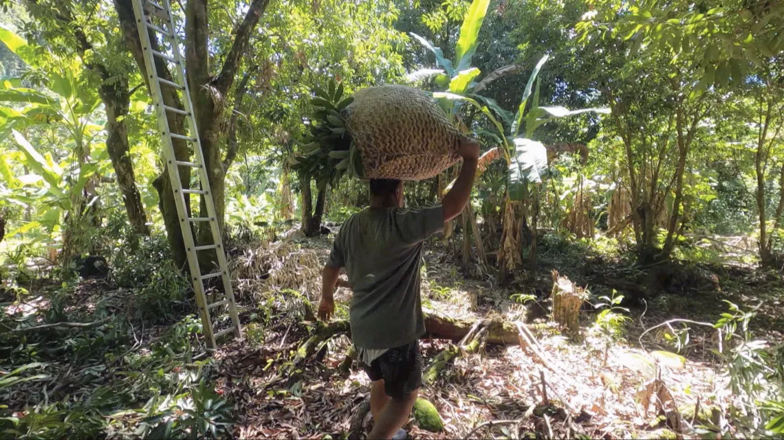 Ilet Coco, un endroit un peu hors du temps, avec ses habitants qui refusent d’évacuer leurs maisons quand la nature est menaçante.