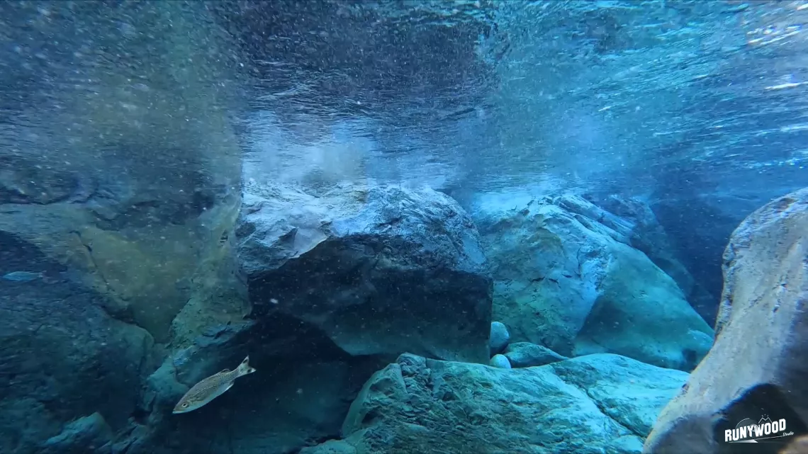 Bassin Bleu, sur la côte est de la Réunion, une eau de source qui jaillit des rochers et se mêle à l’eau de mer. Depuis toujours on y vient boire et chercher de l’eau, parfois de très loin. Si vous y êtes très tôt le matin, certain que vous croiserez des habitués : ces porteurs d’eau, chargés de sacs remplis de bonbonnes d’eau en plastique. Ils viennent au bassin boire, parfois nager, se régénérer au contact d’un lieu magique et unique où résonne clairement la force d’une nature qui se montrer aussi généreu