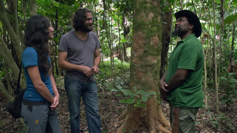 Café calédonien : l’alchimie d’un pays