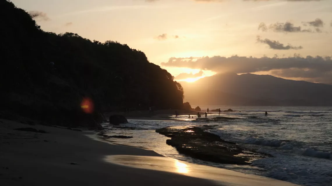 Documentaire Edwin Fardini, poétique de la terre