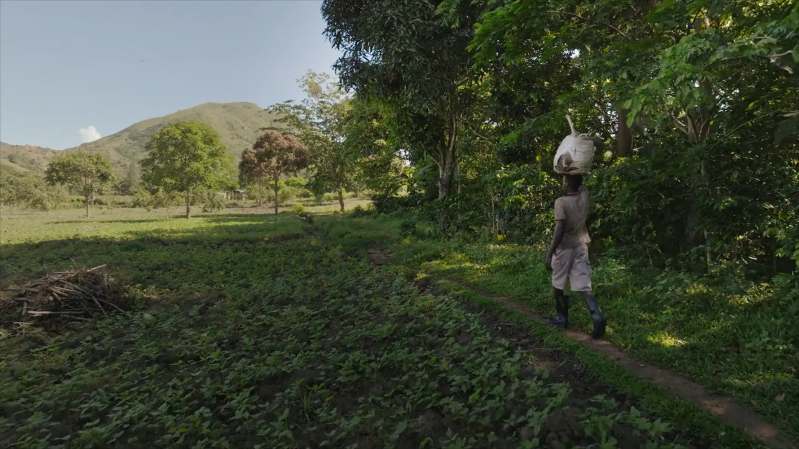 Haïti, la rançon de la liberté (documentaire)