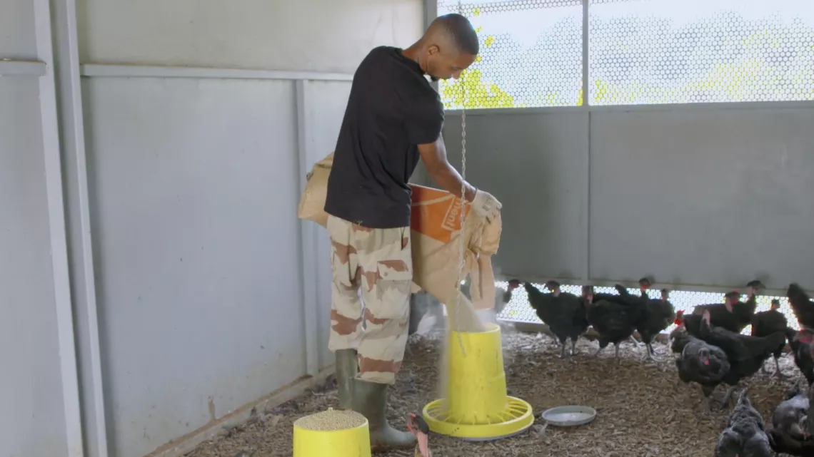 Retour au péyi