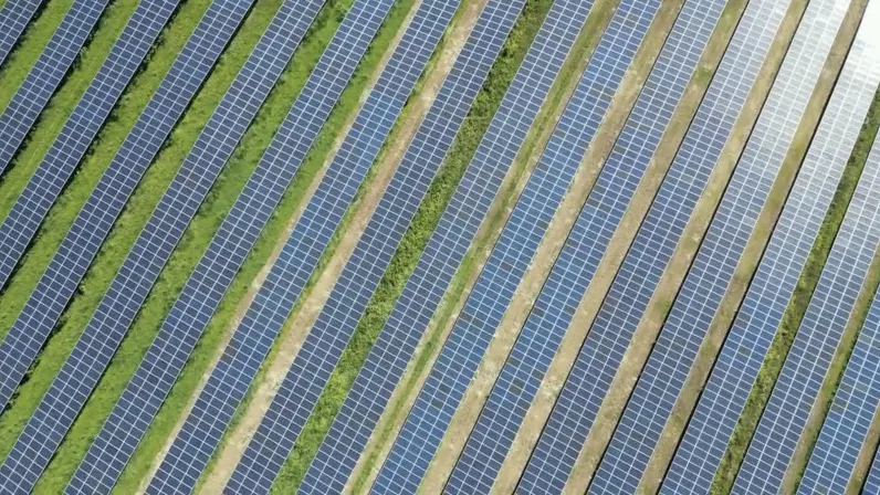 © Artisans du Film, Cinq de Trèfle Productions Les possibilités d'une île