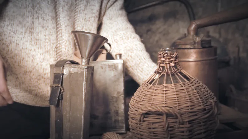 Absinthe, histoire d'une controverse