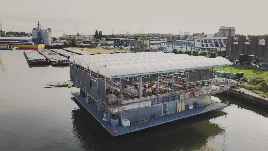 Ferme flottante Rotterdam, Pays-Bas ©CMF.jpg