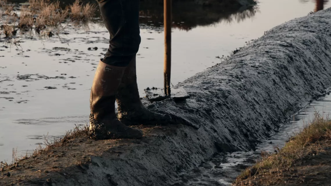 Guérande, un peu de la beauté du monde de Sophie Averty © Mille et Une Films.png