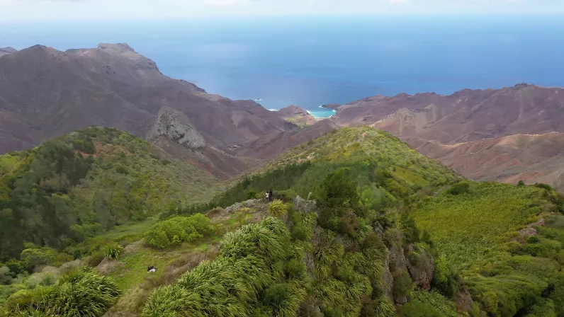 Sainte-Hélène, bastion de la biodiversité - High Peak_Remi Demarthon