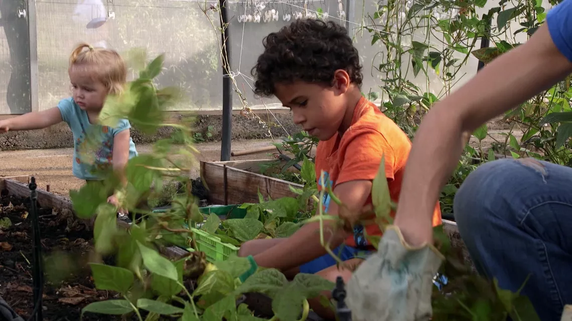 Dans la ferme de l'Îlot Paradis à La Réunion, Sandrine, Bruno et leur associé, Nicolas, pratiquent l’agroécologie en maraîchage et vergers.
