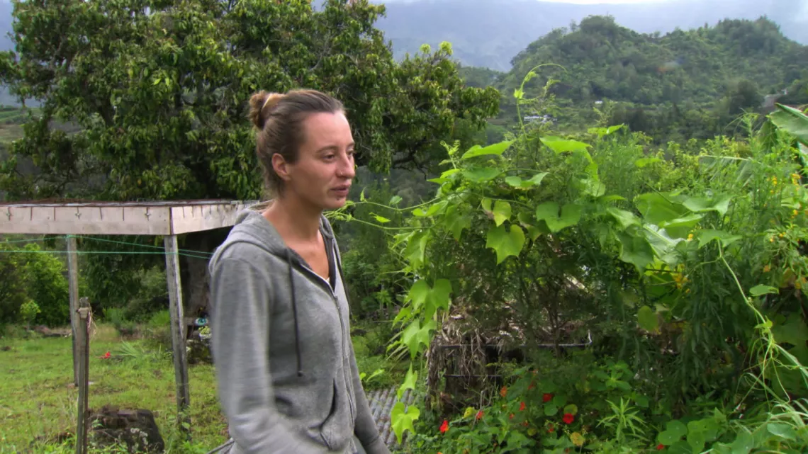 Dans la ferme de l'Îlot Paradis à La Réunion, Sandrine, Bruno et leur associé, Nicolas, pratiquent l’agroécologie en maraîchage et vergers.