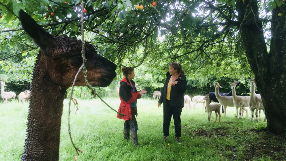 Envie dehors ! Virée dans le sud de la Mayenne
