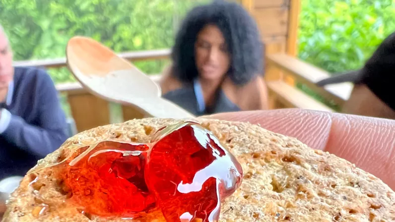 KALOU PILON SAISON 3 EPISODE 4 :  Cette semaine, Rocaya ne nous invite pas à un mariage, mais bel et bien en cuisine en compagnie de Jacky Revel Au menu: Zembrocal zembrevates, rougail zharengs, la morue avec mouroungue, salade thaïlandaise et un biscuit au matcha péi.  Le Goût péi !