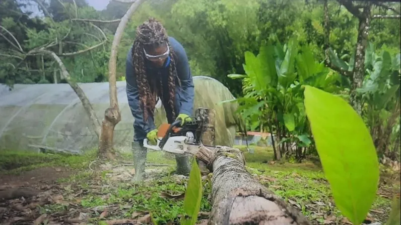 A forces égales 