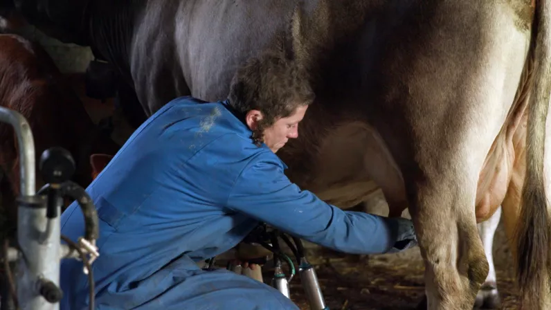 Kelly et les bergères