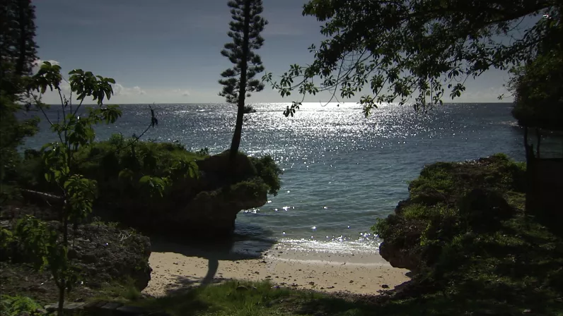 La monique, une blessure calédonienne