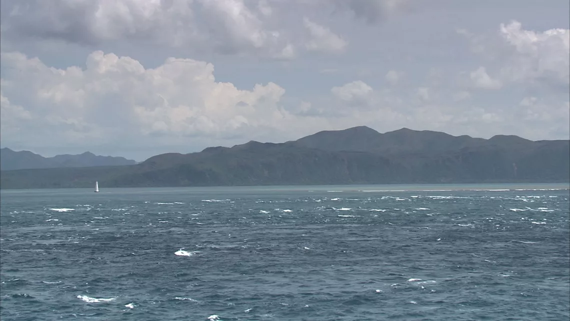 La monique, une blessure calédonienne