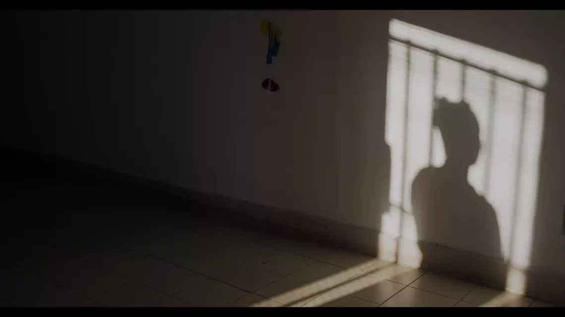 Documentaire : Les mots de l'ombre