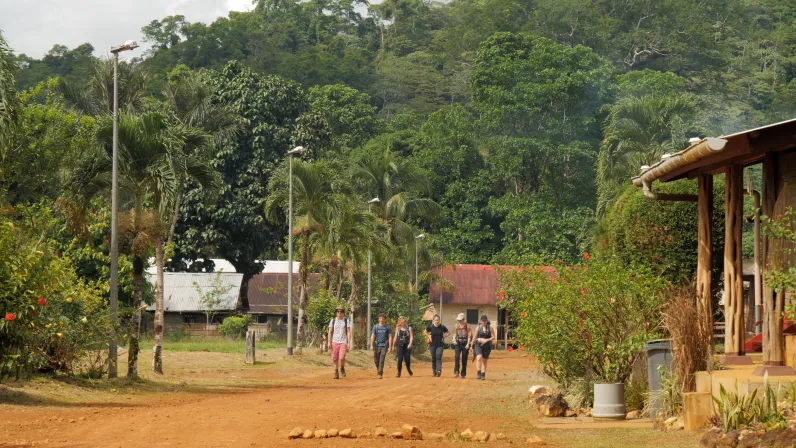 Les plus beaux treks : Guyane