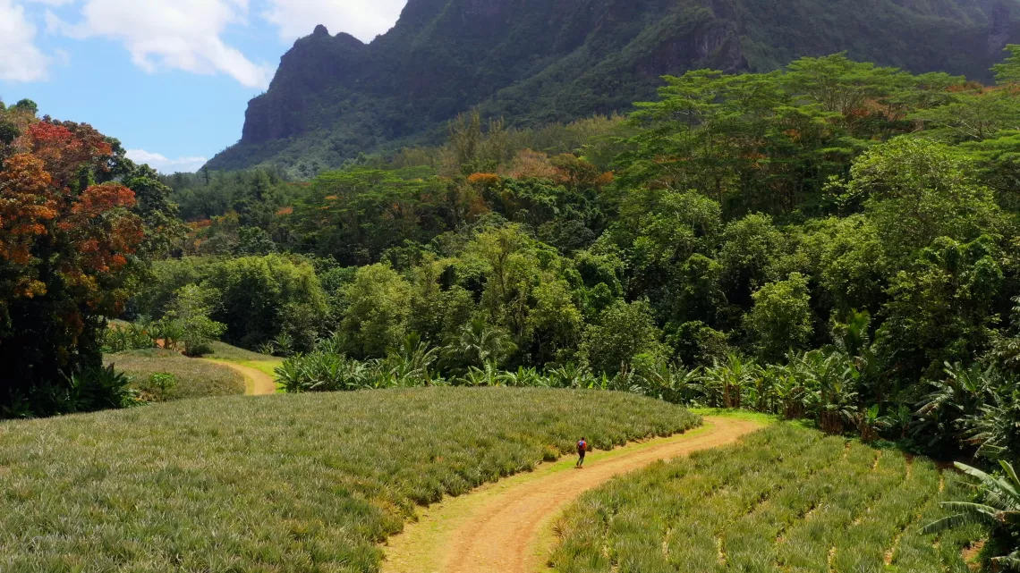 Les plus beaux treks : Tahiti