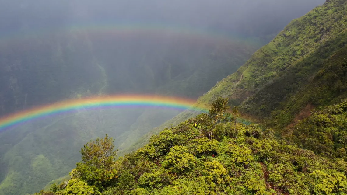 Les plus beaux treks : Tahiti