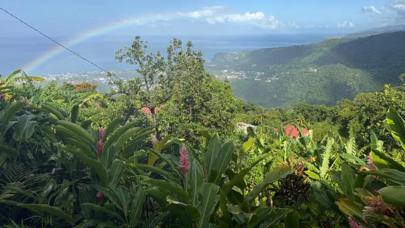 Caraïbes, le mensuel : Spécial La Dominique