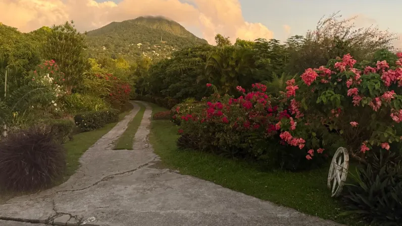 Caraïbes, le mensuel : Spécial La Dominique