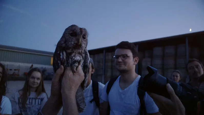La conférence des oiseaux aura-t-elle lieu ?