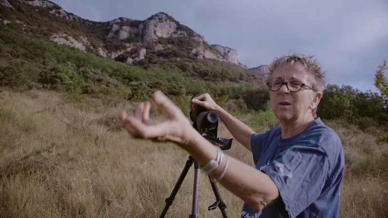 La conférence des oiseaux aura-t-elle lieu ?