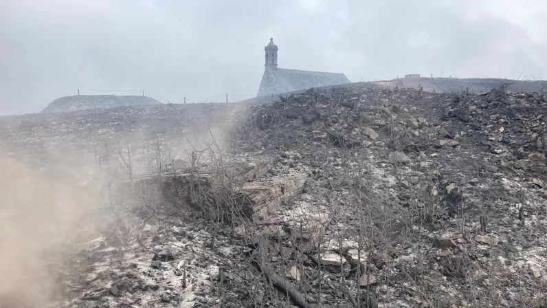Monts d'Arrée : lande brulée 