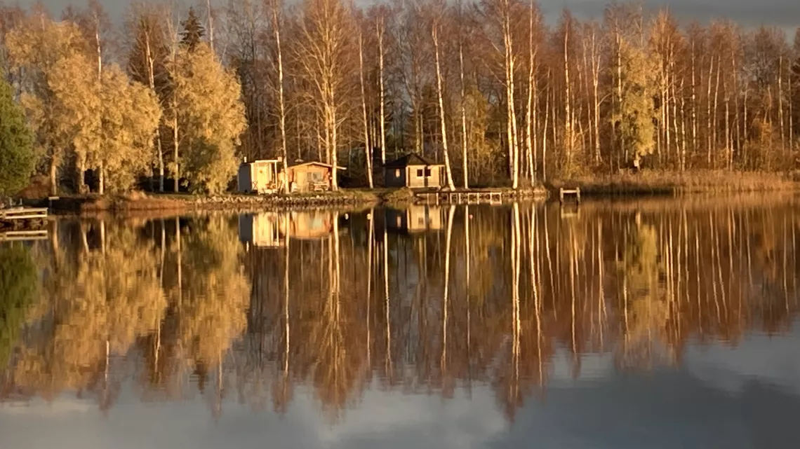 NLE forêts