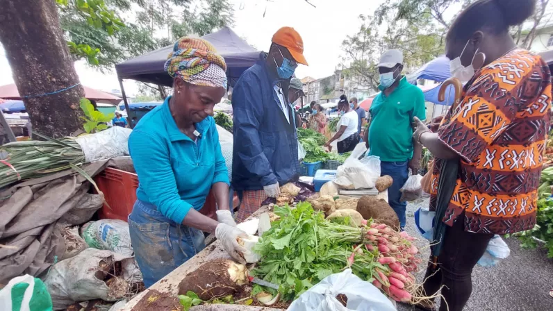 Documentaire : L'âme du couteau-chien
