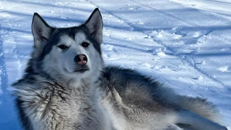 Les Héros du patrimoine, ils réinventent la montagne