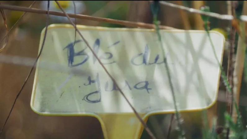 Le monde (presque) après