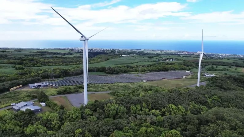 © Artisans du Film, Cinq de Trèfle Productions Les possibilités d'une île
