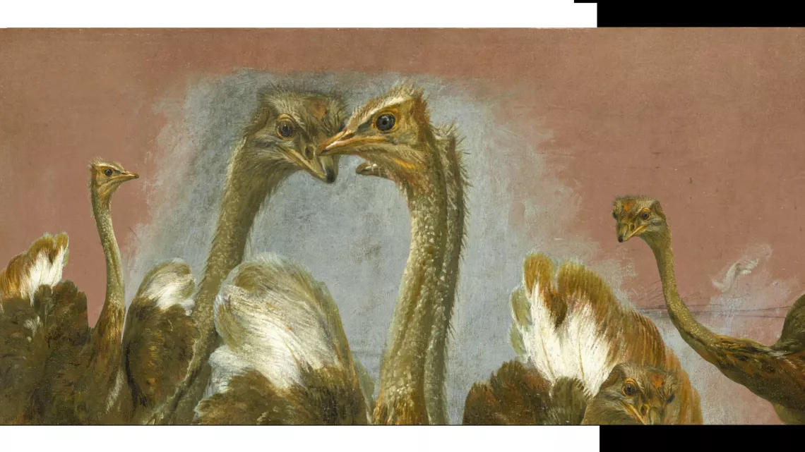 Résonances - Le Louvre à La Réunion. C’est le nom d’une exposition d’arts graphiques inédite et exceptionnelle, à découvrir dans 5 musées de l’île. Elle comprend 236 dessins prêtés gracieusement par le prestigieux Musée du Louvre, qui expose pour la toute première fois de son histoire, dans les Outre-mer.