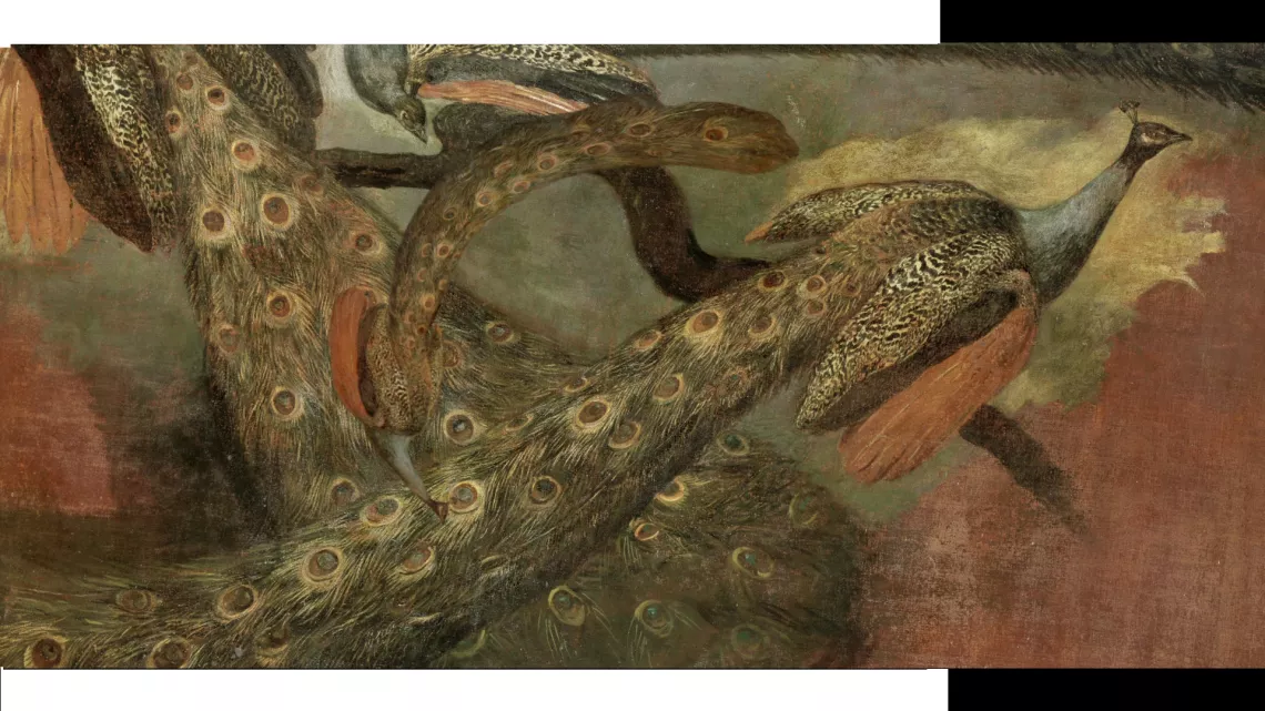 Résonances - Le Louvre à La Réunion. C’est le nom d’une exposition d’arts graphiques inédite et exceptionnelle, à découvrir dans 5 musées de l’île. Elle comprend 236 dessins prêtés gracieusement par le prestigieux Musée du Louvre, qui expose pour la toute première fois de son histoire, dans les Outre-mer.