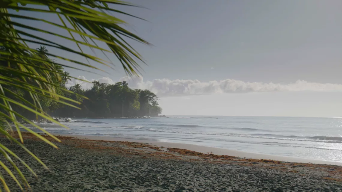 Solitude, une figure de la liberté 