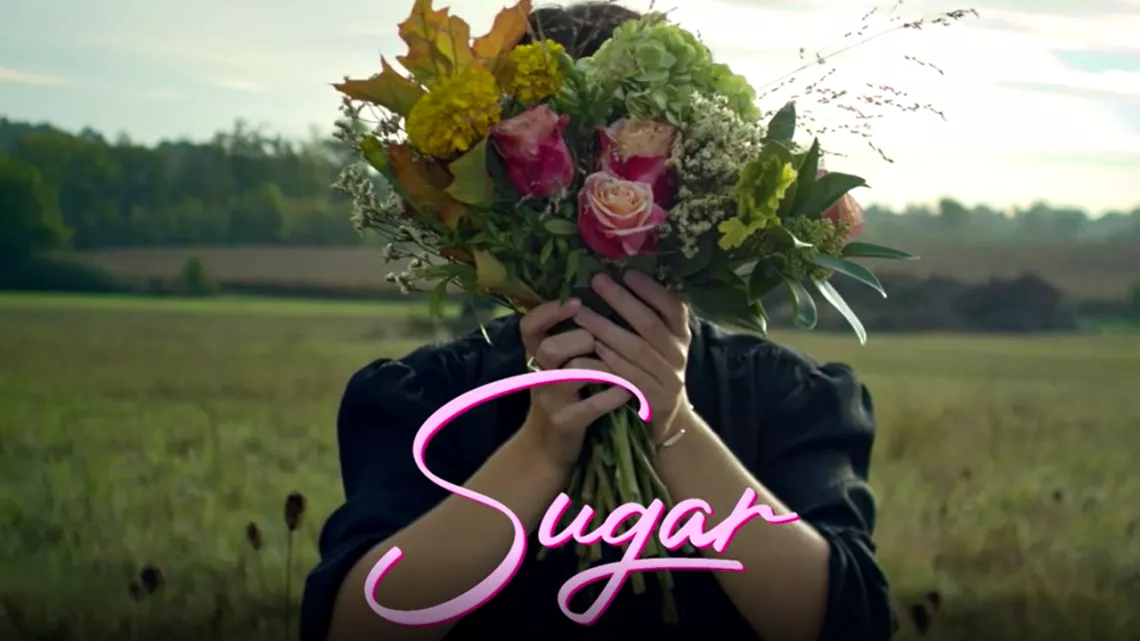 SugarBabies (c) Flair Production