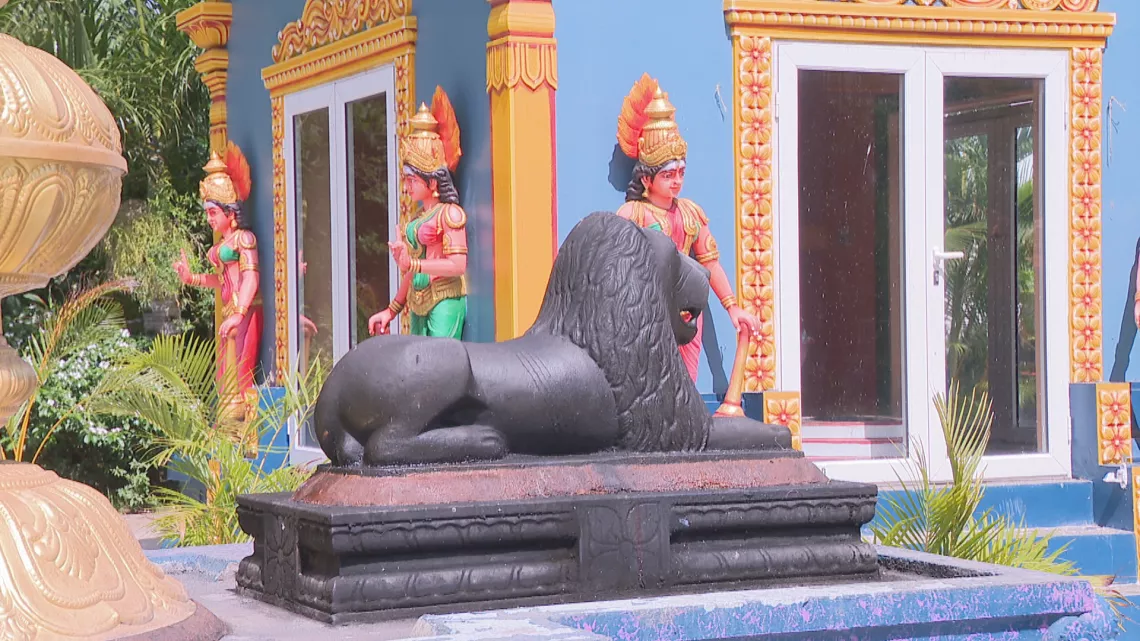 Pouttandou Vajtoukkel 5124 : « Bonne année 5124 » à la communauté indienne tamoule sur Réunion la 1ère !  Le temple de l’association Siva Vishnou Karly de Saint-Paul a été érigé il y a 135 ans. Il se compose de deux sanctuaires principaux qui abritent respectivement la demeure de SHRI MOUROUGA et l’autre celle de SHRI MARIAMMAN.  Dans ce lieu de culte hindou, on organise chaque année deux importantes tavam ou pénitences à savoir le Kâvadi en l’honneur de SHRI MOUROUGA et une timidi ou marche sur le feu en l