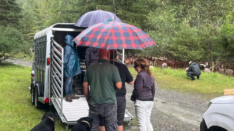 Les Héros du patrimoine : Transhumance, un héritage à réinventer