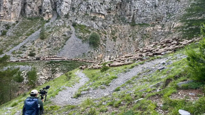 Les Héros du patrimoine : Transhumance, un héritage à réinventer