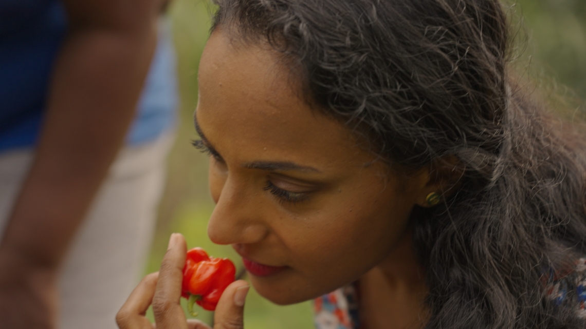 Avec Manioc et Piment ©Kreyolimages