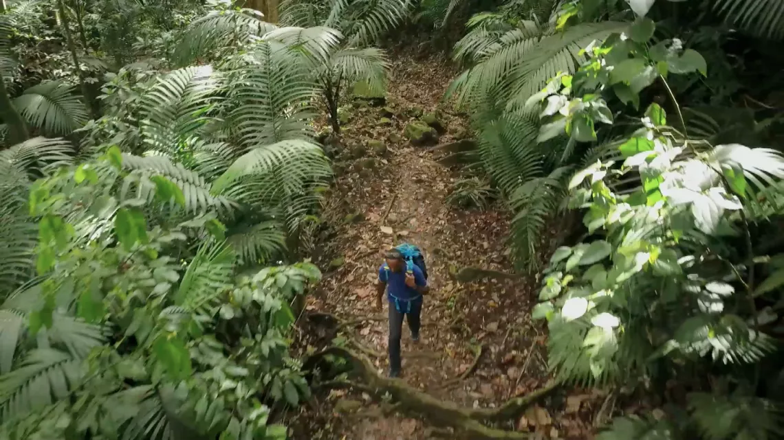 Les plus beaux treks : la Martinique ©Camera One Télévision