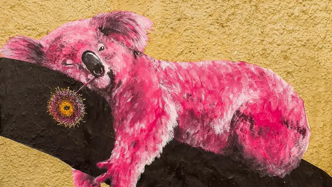 Outre-mer Street Art ©909 Productions